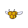 Pokemon Image