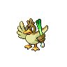 Pokemon Image